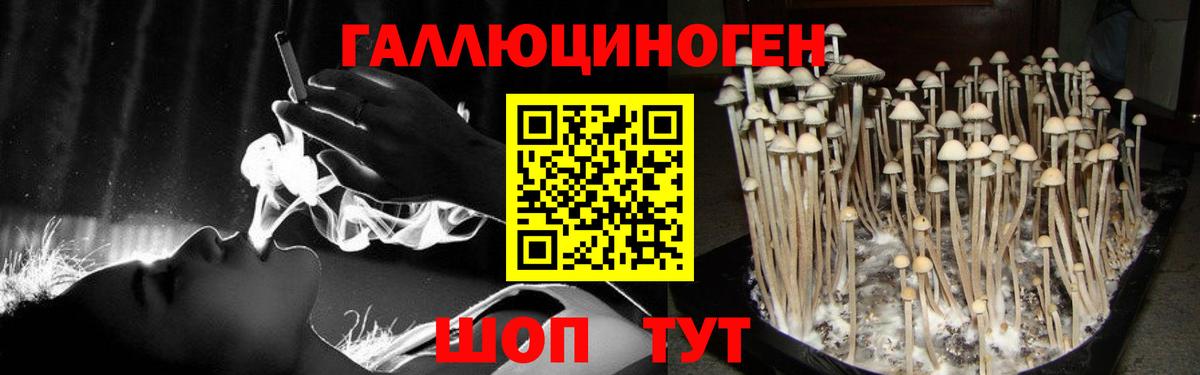Галлюциногенные грибы Magic Shrooms Касимов