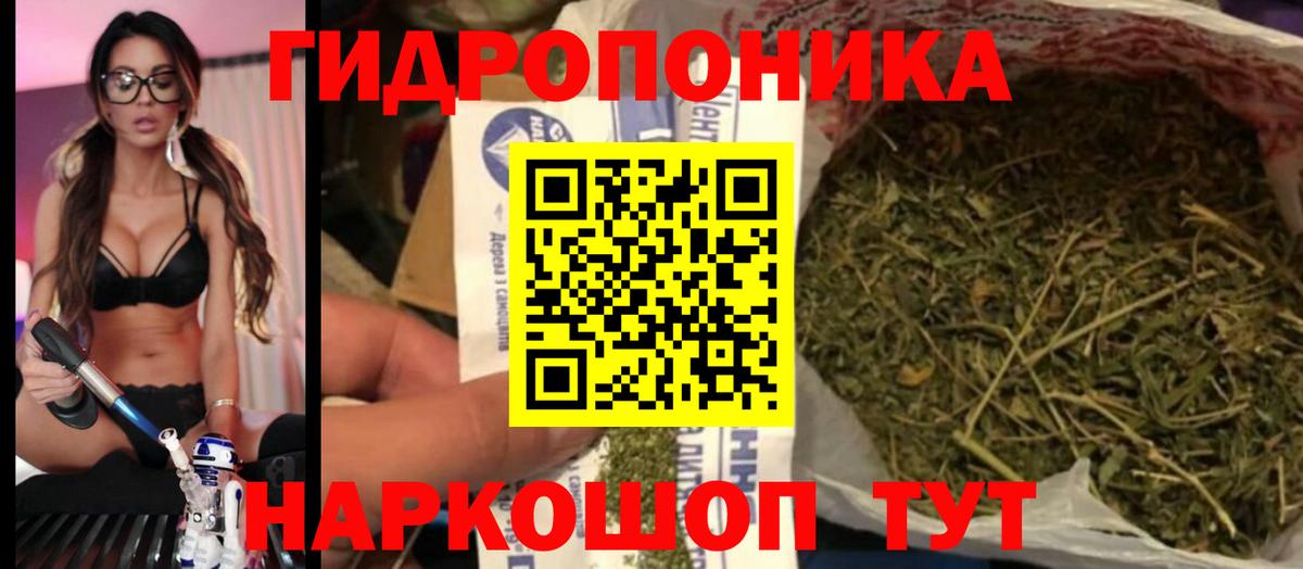 Бошки марихуана планчик  Бошки Шишки ГИДРОПОН  Касимов  Вход с VPN  Марихуана сатива 